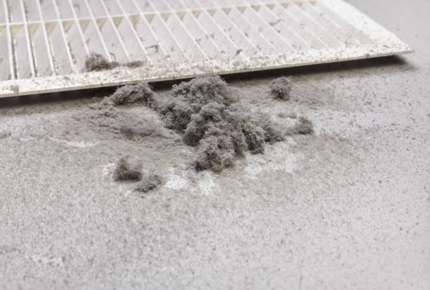 Best Professional Duct Cleaning Services  in Trempealeau, WI