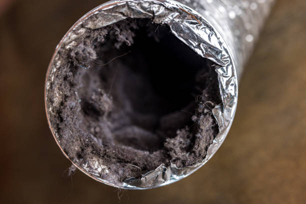 Best Affordable Air Duct Cleaning  in Trempealeau, WI