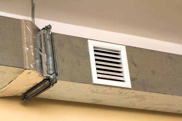 Best Ductwork Cleaning Services  in Trempealeau, WI